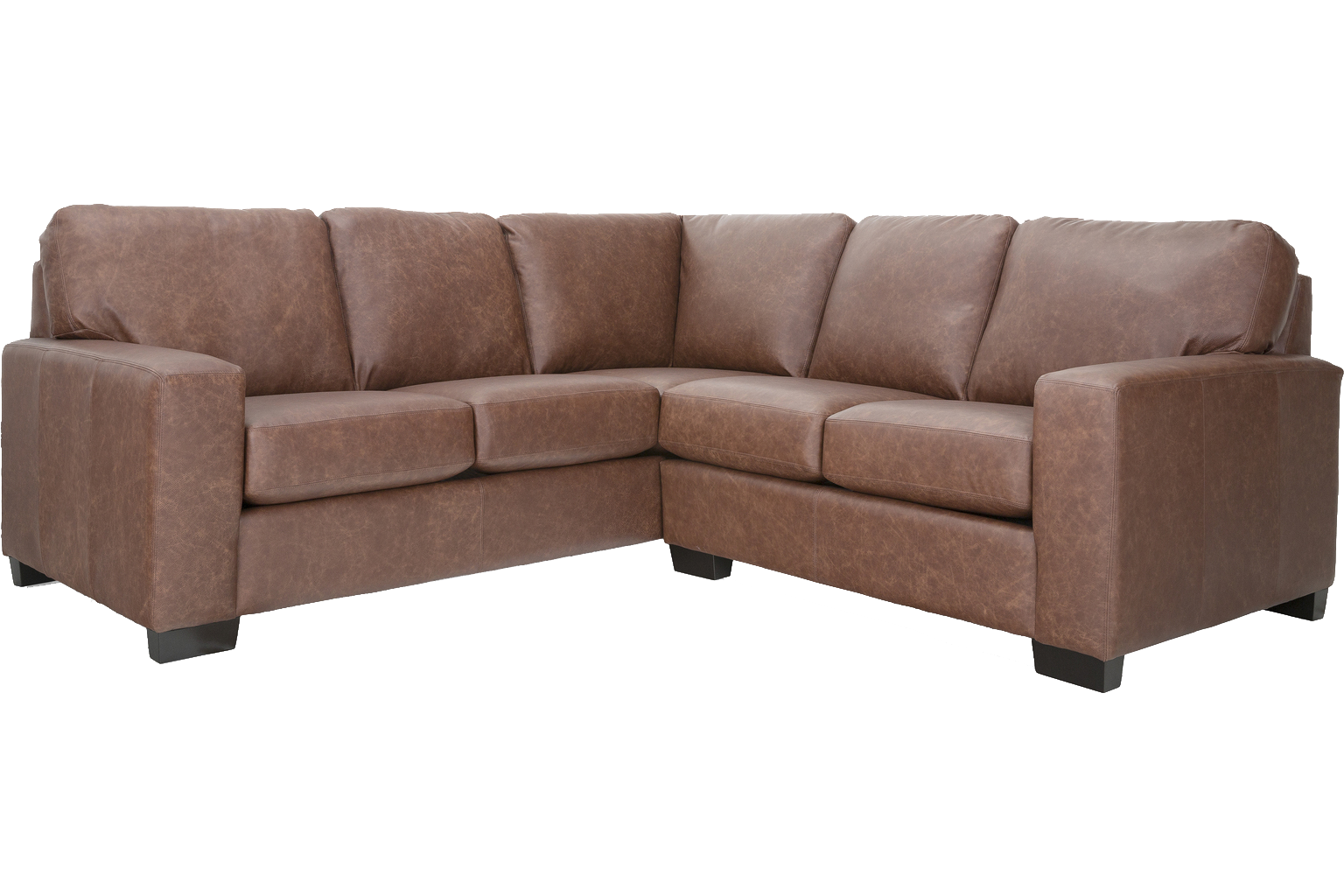 3A Alessandra Connections