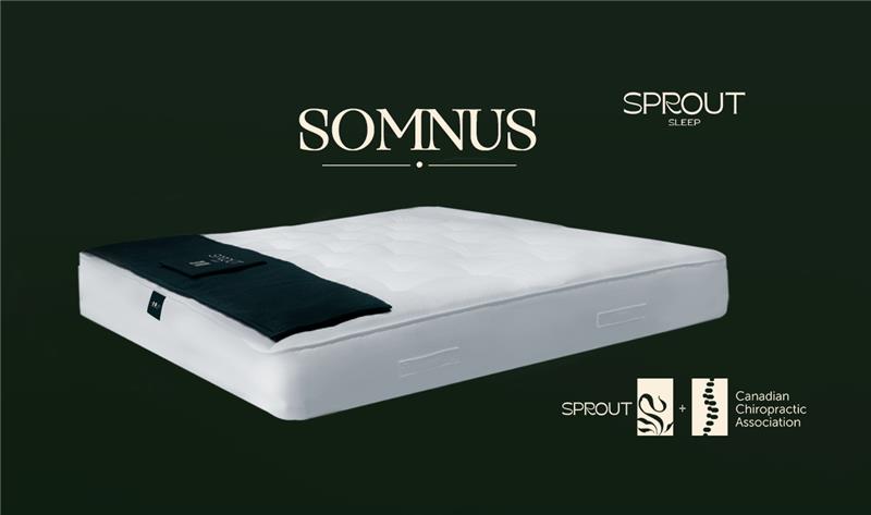 Somnus Mattress