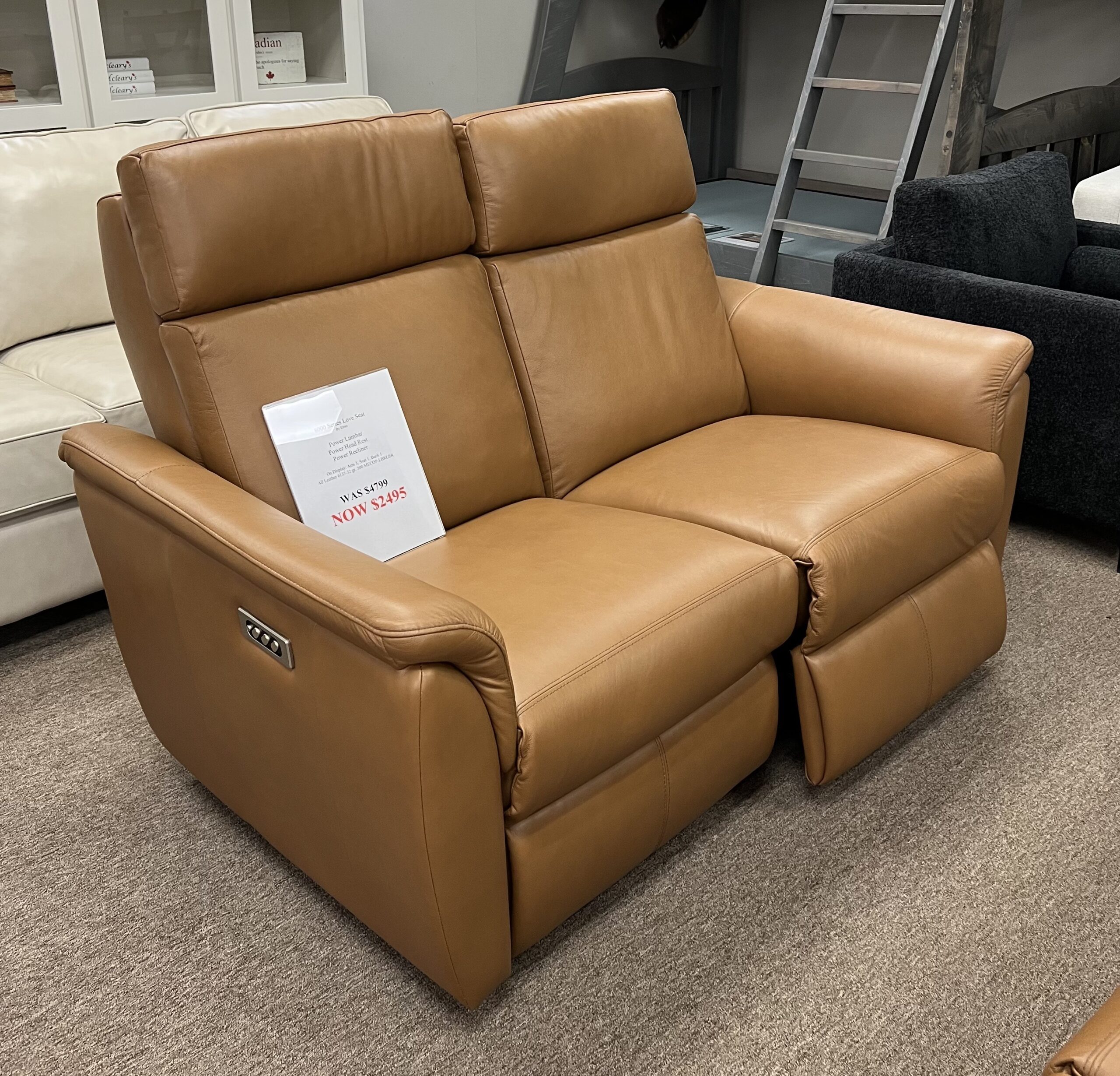 Elran 8000 power reclining leather loveseat